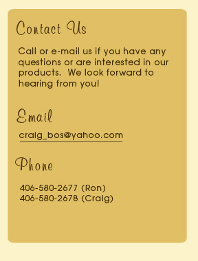 Contact Us by Email